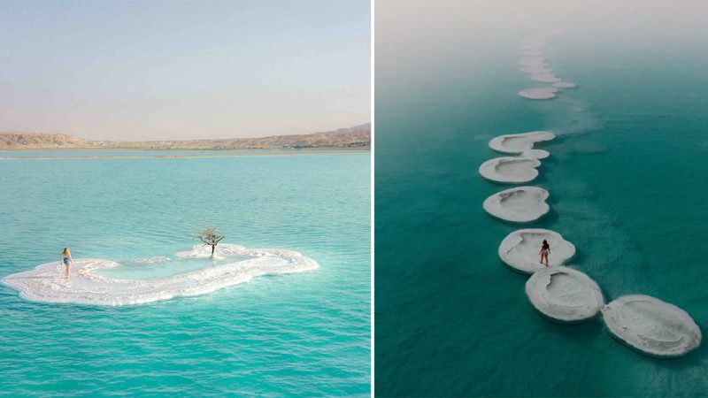 Unveiling the Salt Island Oasis: A Hidden Gem in the Heart of the Dead Sea