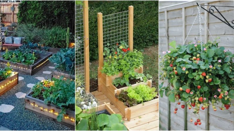 20 Easy DIY Gardening Ideas with Vegetables That Surprised You