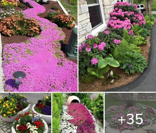 35 fresh creative ideas on how to create a lovely little flowerbed