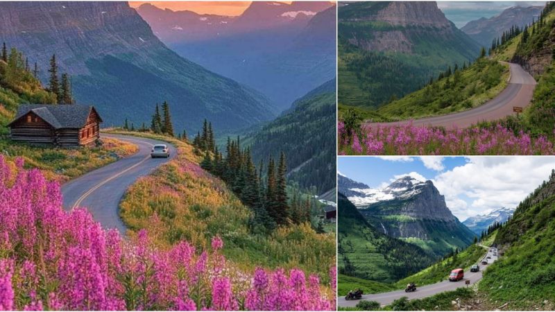 Driving the Stunning Going-to-the-Sun Road in Glacier National Park, Montana
